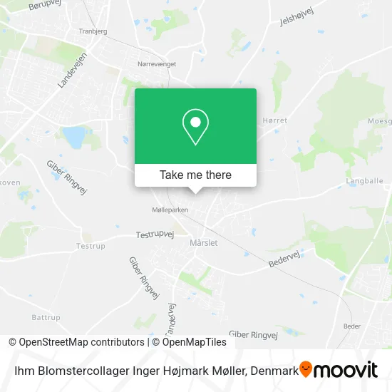 Ihm Blomstercollager Inger Højmark Møller map