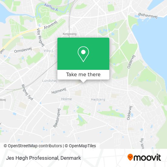 Jes Høgh Professional map
