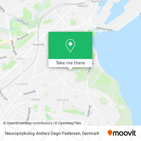 Neuropsykolog Anders Degn Pedersen map