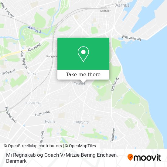 Mi Regnskab og Coach V / Mitzie Bering Erichsen map