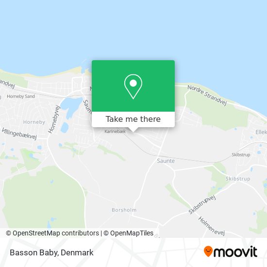 Basson Baby map