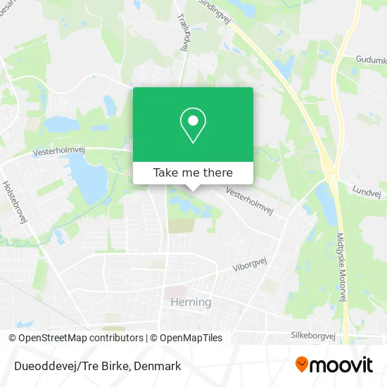 Dueoddevej/Tre Birke map