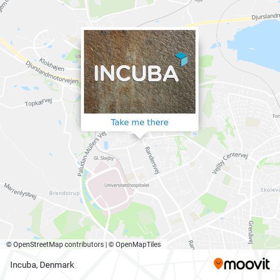 Incuba map