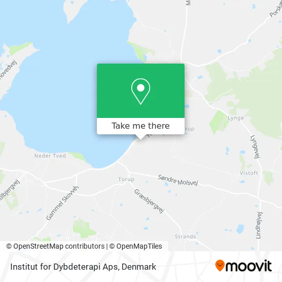 Institut for Dybdeterapi Aps map