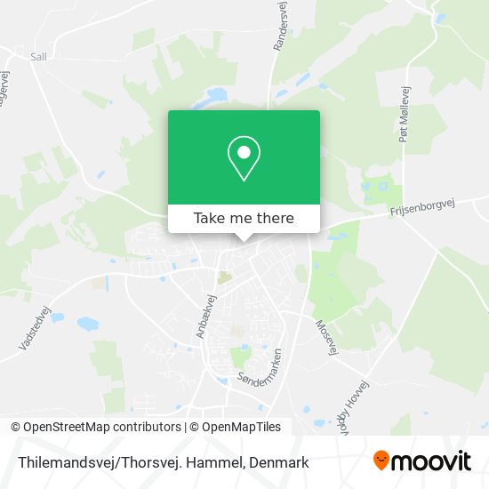 Thilemandsvej/Thorsvej. Hammel map