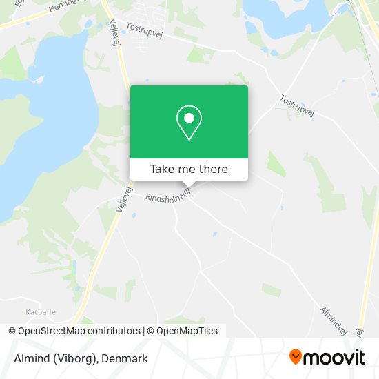 Almind (Viborg) map