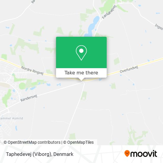 Taphedevej (Viborg) map