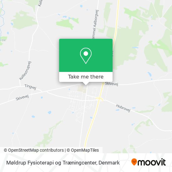 Møldrup Fysioterapi og Træningcenter map