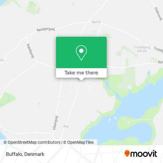 Buffalo map