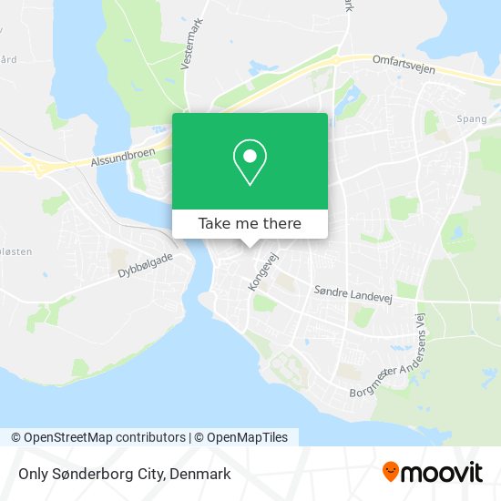 Only Sønderborg City map
