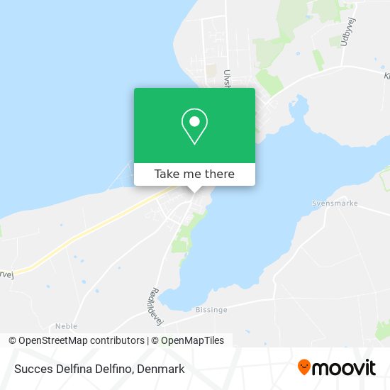 Succes Delfina Delfino map