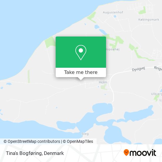 Tina's Bogføring map