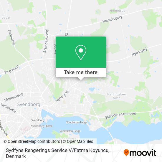 Sydfyns Rengørings Service V / Fatma Koyuncu map