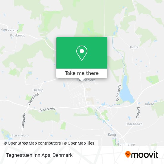 Tegnestuen Inn Aps map