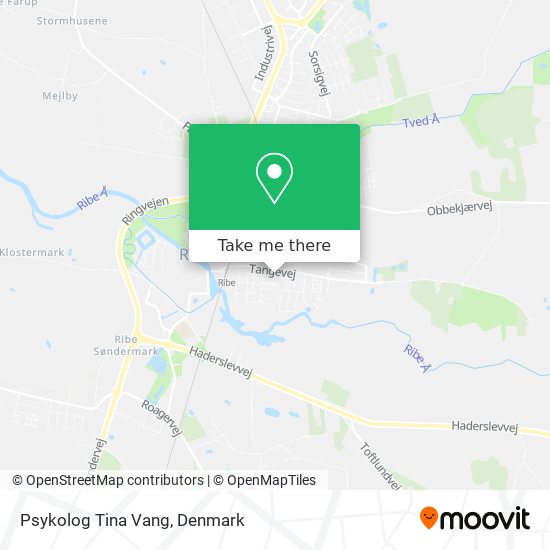 Psykolog Tina Vang map