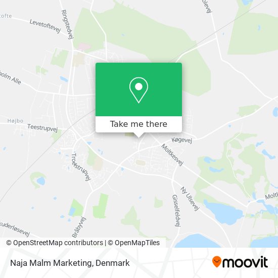 Naja Malm Marketing map