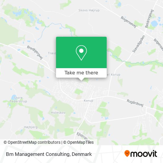 Bm Management Consulting map