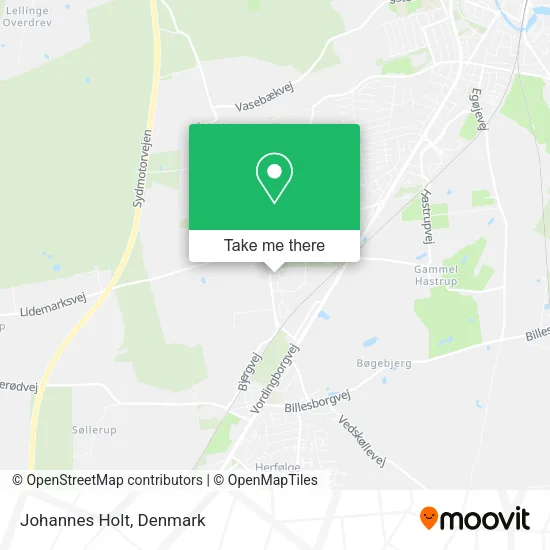 Johannes Holt map