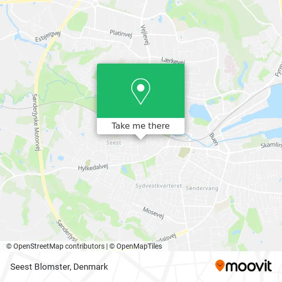 Seest Blomster map
