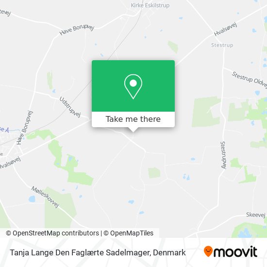 Tanja Lange Den Faglærte Sadelmager map