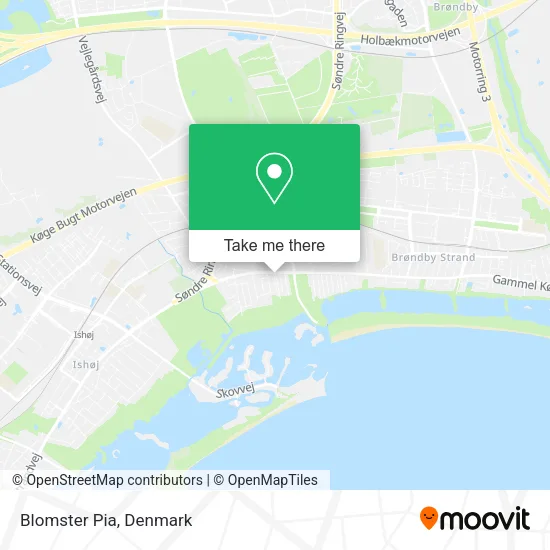 Blomster Pia map