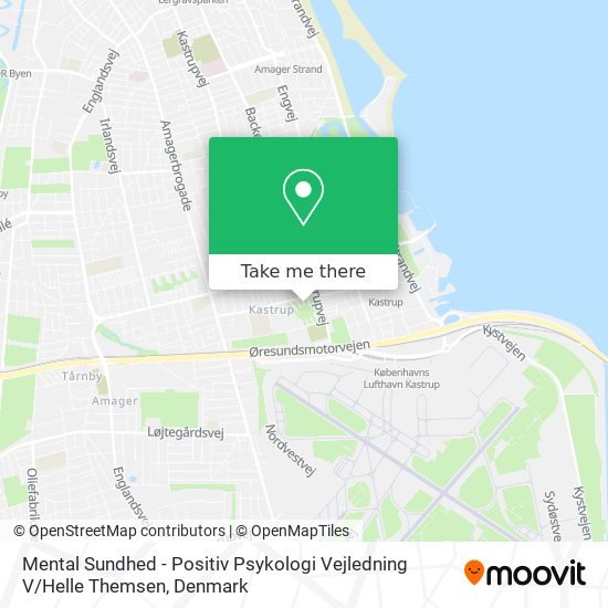 Mental Sundhed - Positiv Psykologi Vejledning V / Helle Themsen map