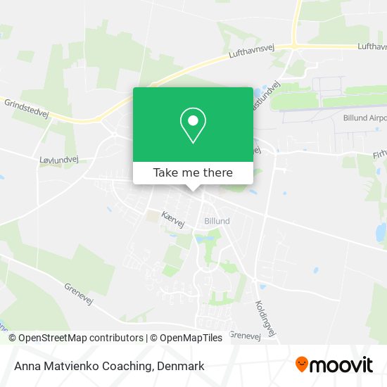 Anna Matvienko Coaching map