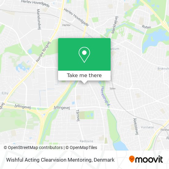 Wishful Acting Clearvision Mentoring map