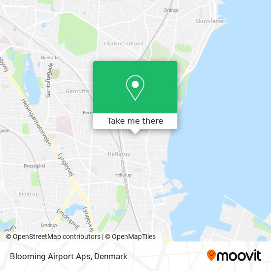 Blooming Airport Aps map