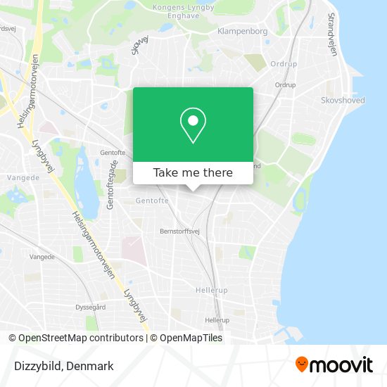 Dizzybild map