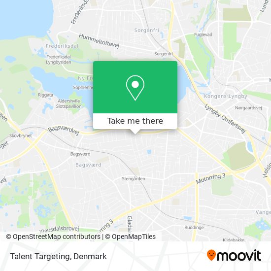 Talent Targeting map