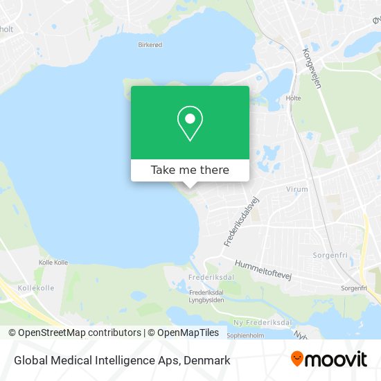 Global Medical Intelligence Aps map