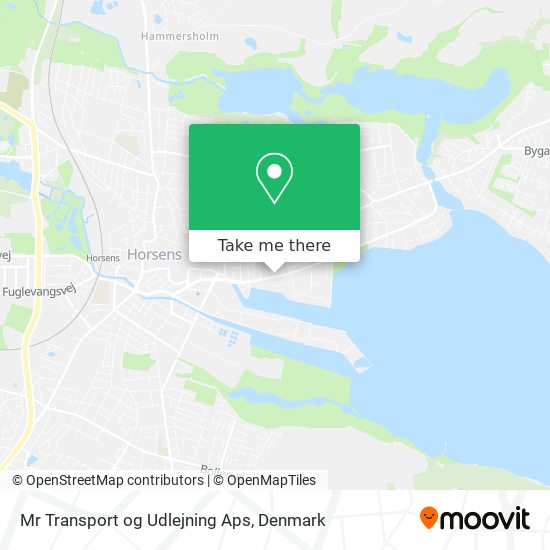 Mr Transport og Udlejning Aps map