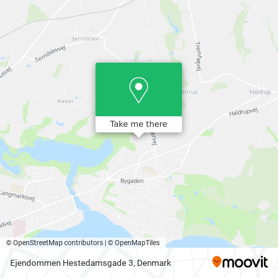 Ejendommen Hestedamsgade 3 map