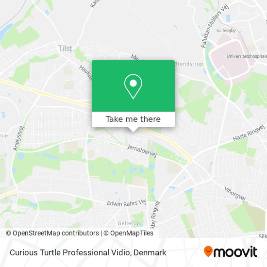 Curious Turtle Professional Vidio map