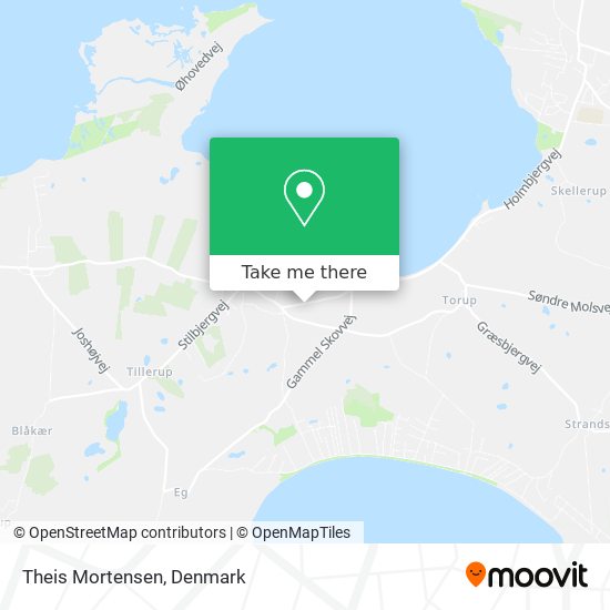 Theis Mortensen map