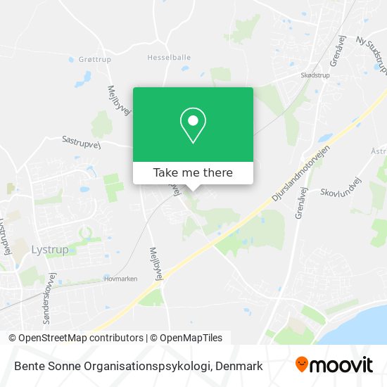 Bente Sonne Organisationspsykologi map