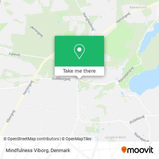 Mindfulness Viborg map