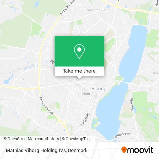 Mathias Viborg Holding IVs map