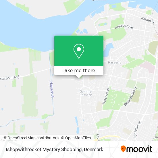 Ishopwithrocket Mystery Shopping map