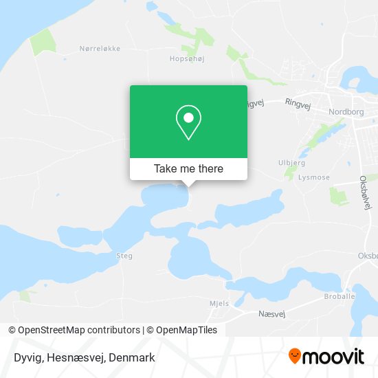 Dyvig, Hesnæsvej map