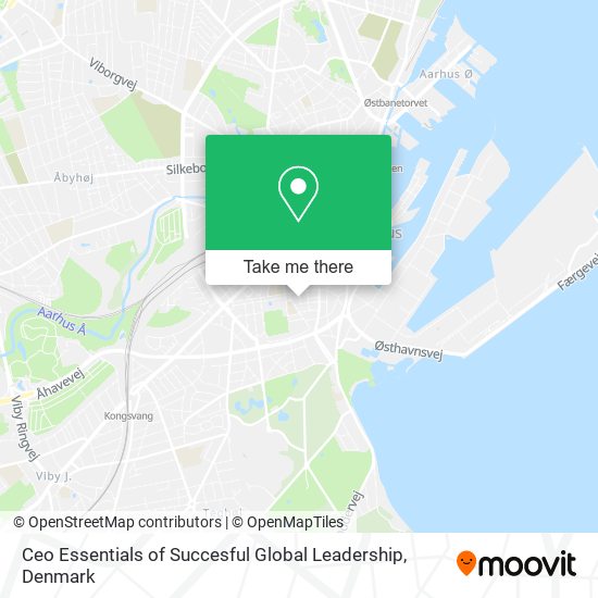 Ceo Essentials of Succesful Global Leadership map