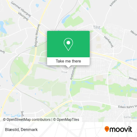 Blæsild map