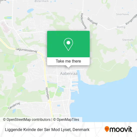 Liggende Kvinde der Ser Mod Lyset map