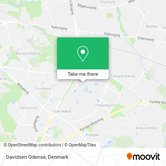 Davidsen Odense map