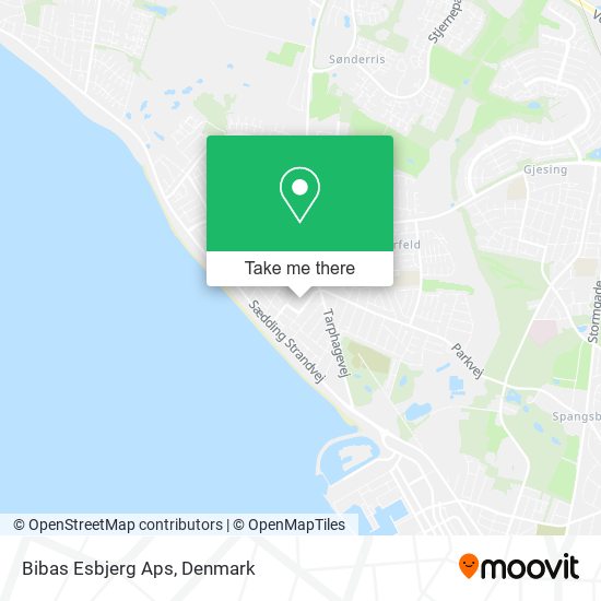 Bibas Esbjerg Aps map