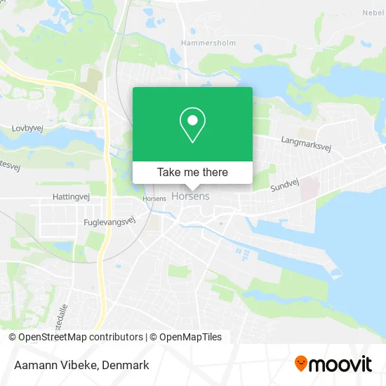 Aamann Vibeke map