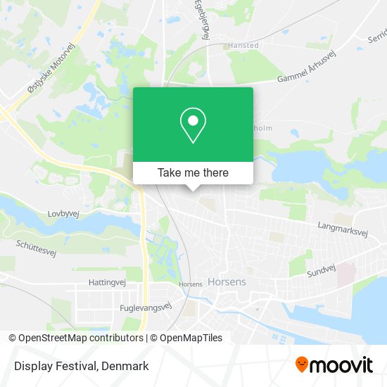 Display Festival map