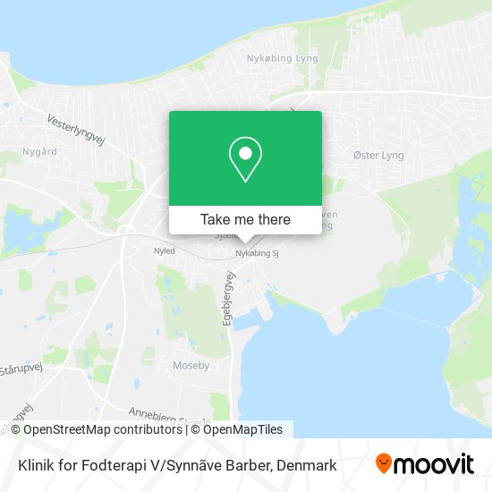 Klinik for Fodterapi V / Synnãve Barber map