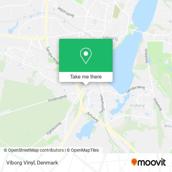 Viborg Vinyl map